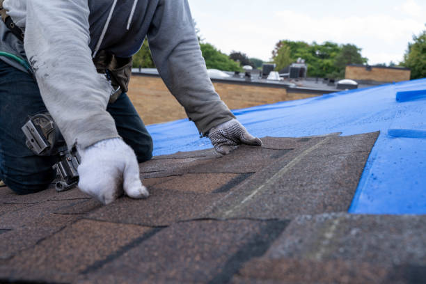 Best Rubber Roofing (EPDM, TPO)  in Grove City, OH